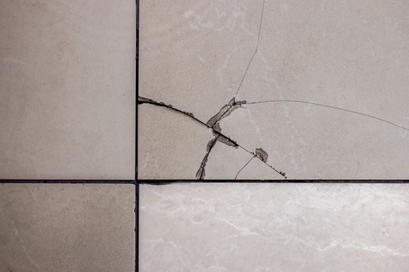 Tile Repair Work